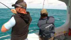 VIDEO: Snapper fishing on lures – triple hookup on 14.5kg giants